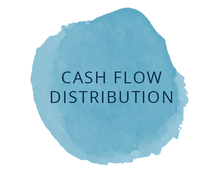 Cash Flow Distribution.png
